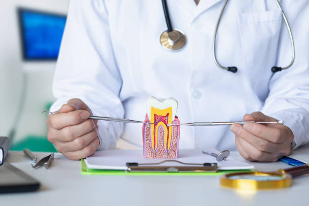 Best Emergency Dentist for Lost Fillings or Crowns in Paramus, NJ
